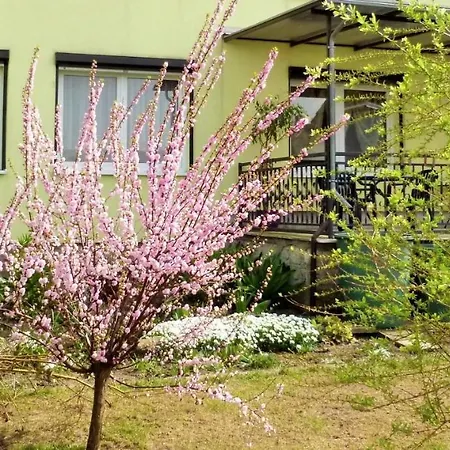 Haus Germania Gasthof